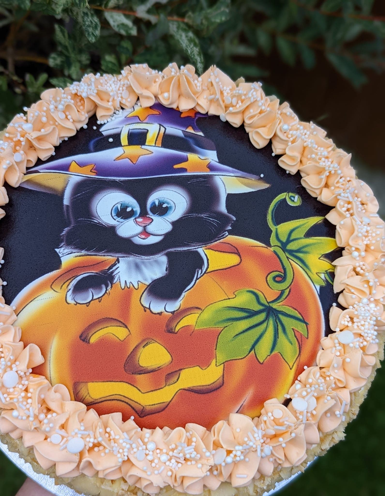 Ķirbju vai burkānu kūka